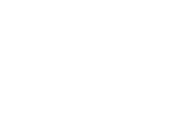 Garnier LGS